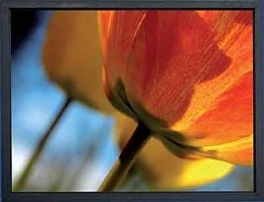 WS-P-Frame-HomeScreen 4: 3 200x150
